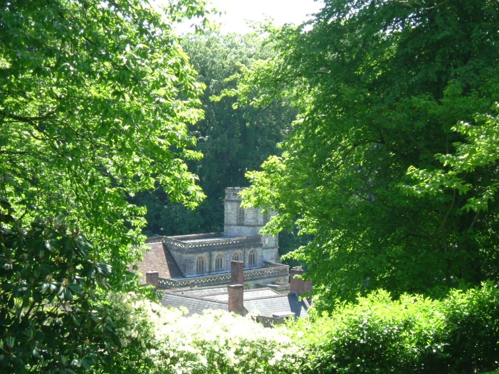 DSCF1119
