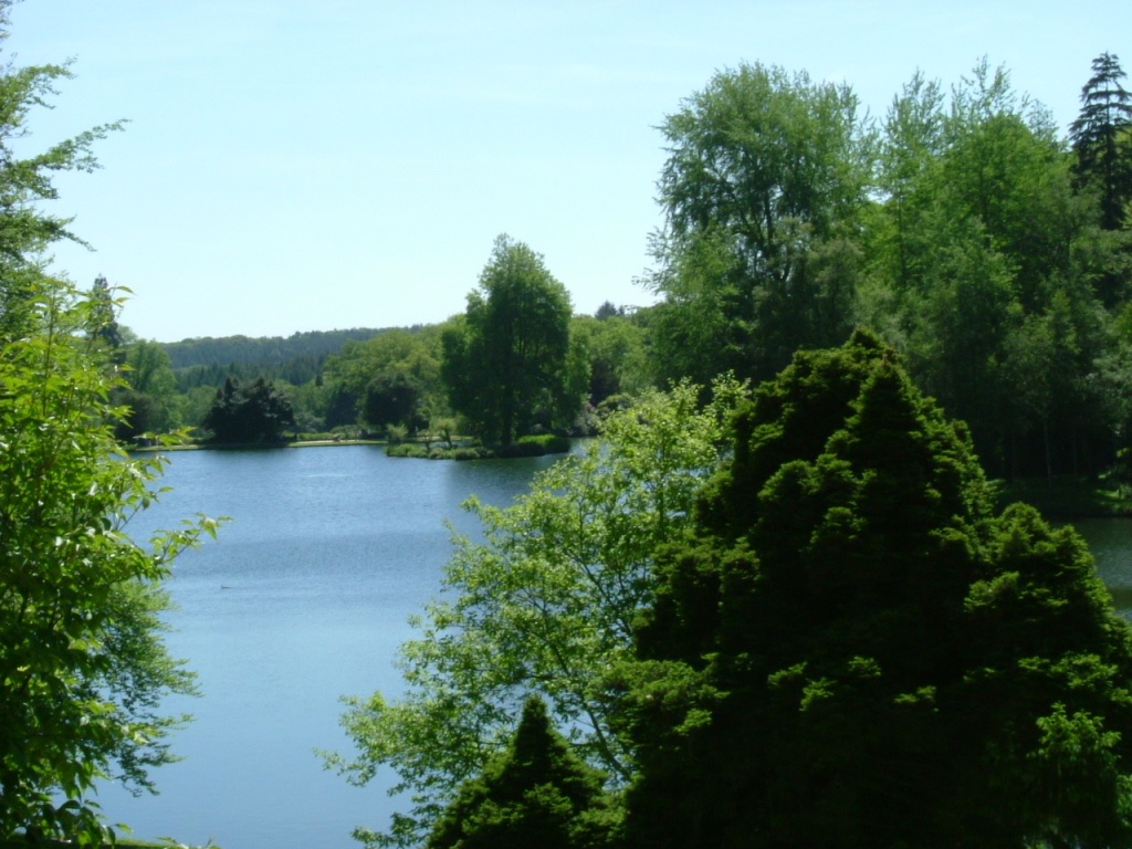 DSCF1124