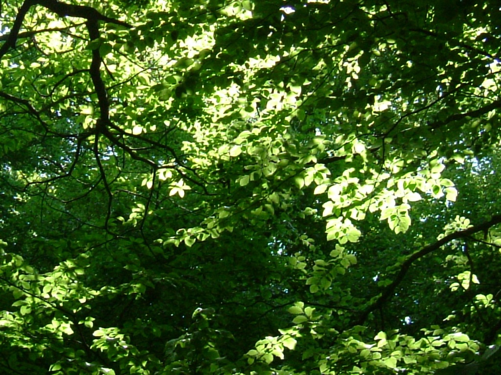 DSCF1144